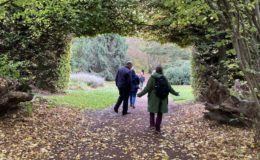 Keeping busy over the Festive period – Outdoors
